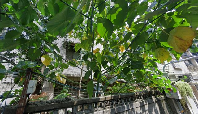 台北中正區法拍公寓-4
