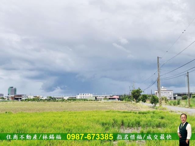 台南養雞場-4