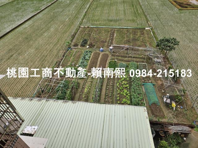 蘆竹農舍-12