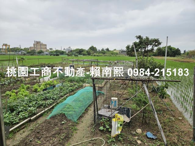 蘆竹農舍-15