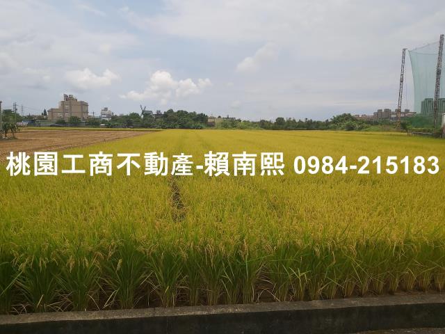 蘆竹農舍-1