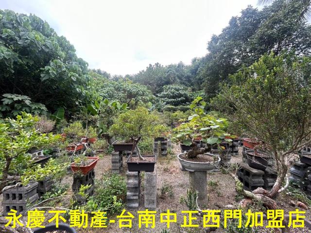 東區透天-14