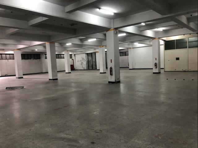 桃園中壢廠房-1