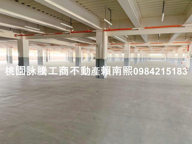 蘆竹大樓-3