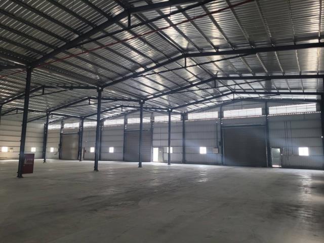 桃園大園廠房-4