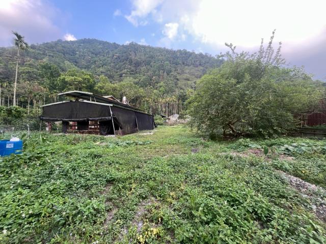 埔里透天-11