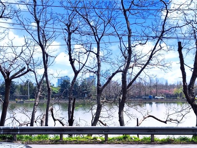平鎮公寓-9