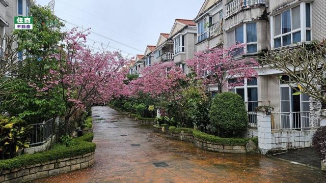 新北別墅-12