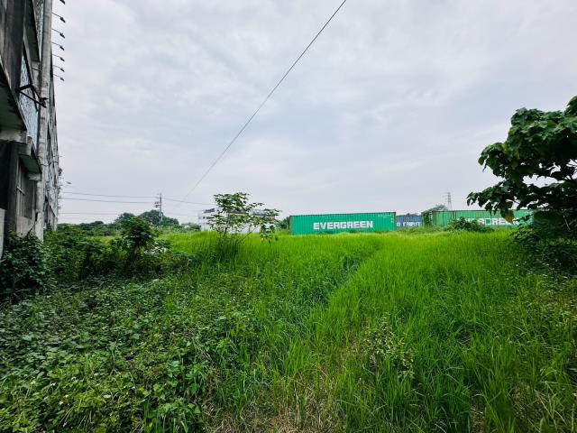 台南新化廠房-3