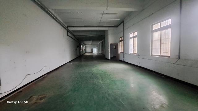 桃園廠房-4
