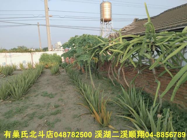 溪州一樓-2