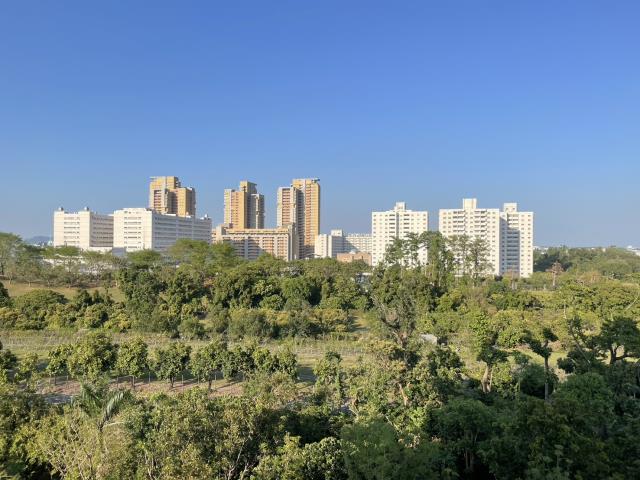 高雄大樓-9
