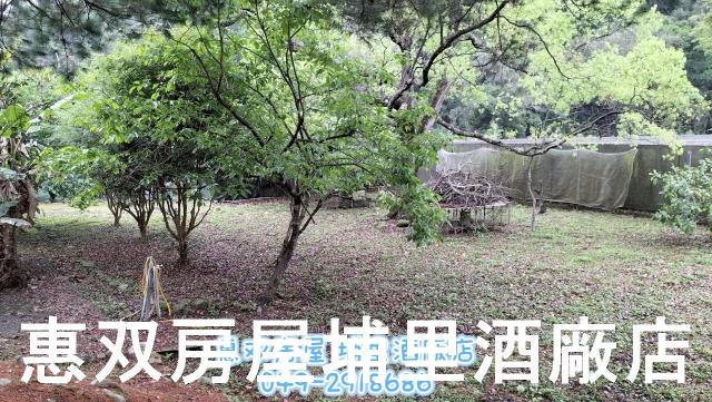 南投魚池未保存平房-8
