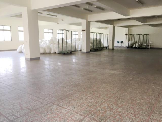 桃園八德廠房-3