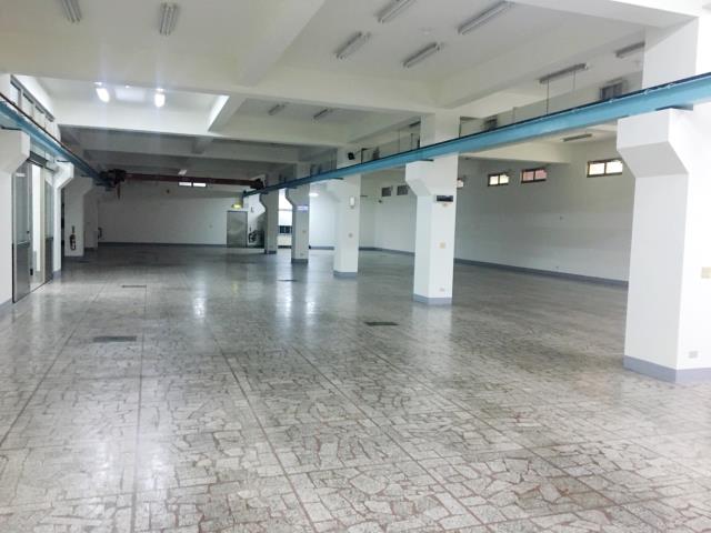 桃園八德廠房-5