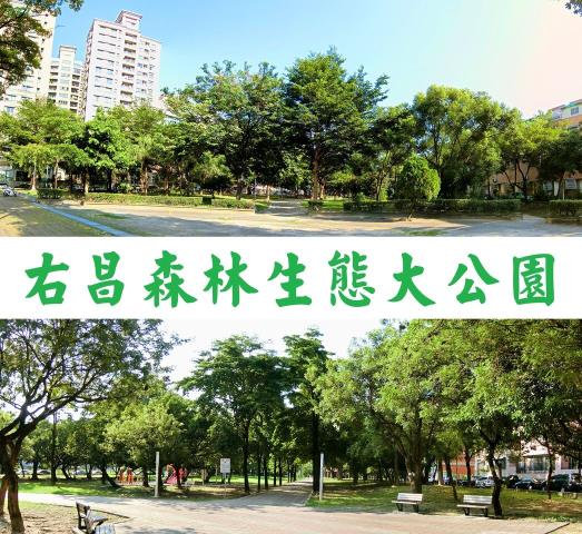 楠梓透天-12