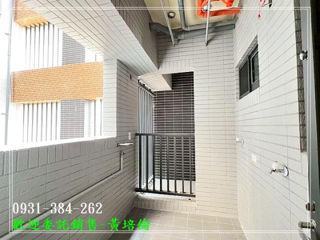 591黃培倫591