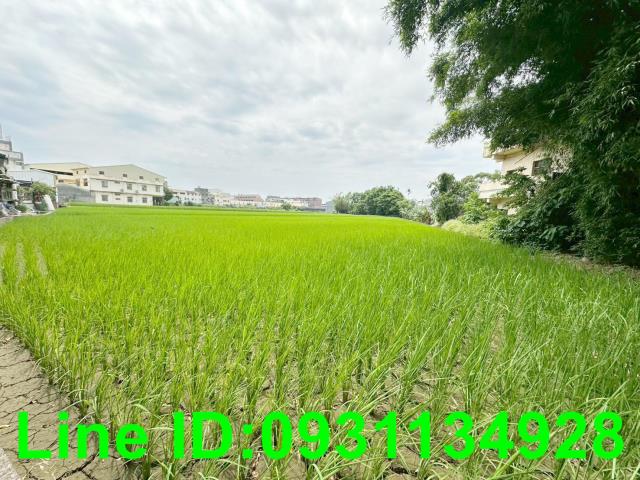 后里透天-11