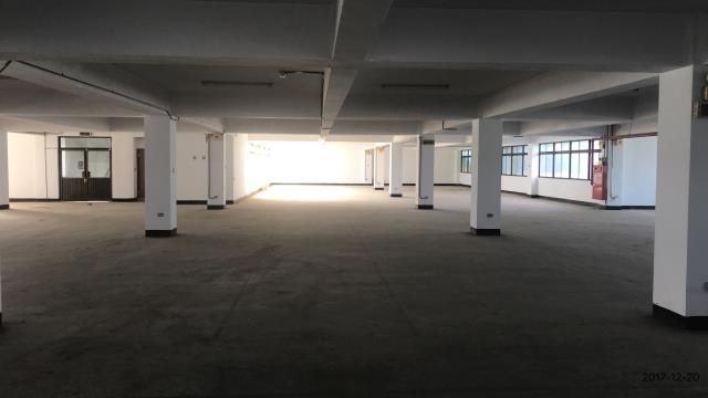 桃園楊梅廠房-1