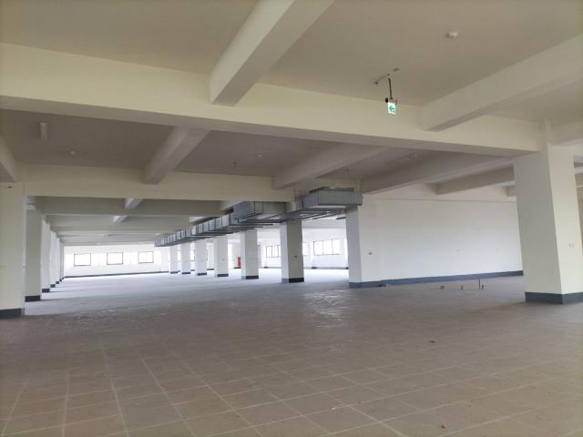 台中神岡廠房-2