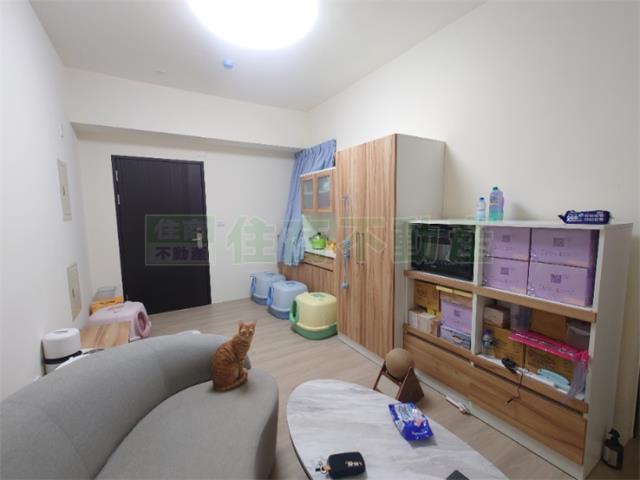 橋頭華廈-2