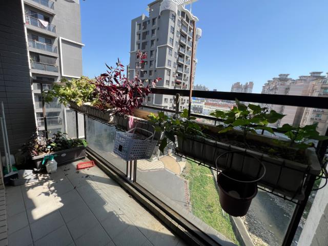 桃園區大樓-3