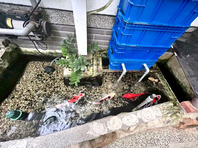 楊梅透天-9