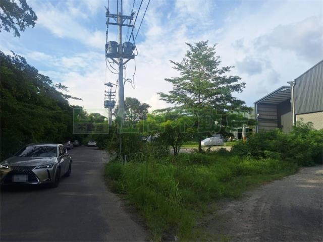 燕巢廠房-2