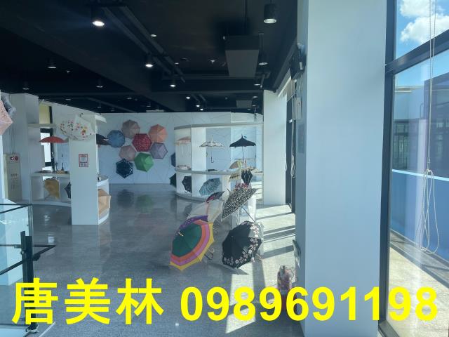 桃園大園廠房-4