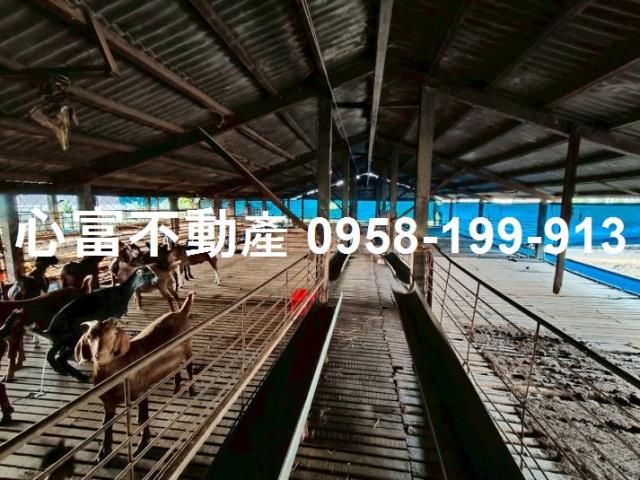 高雄阿蓮廠房-1