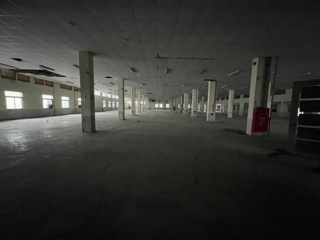 桃園八德廠房-1