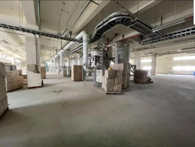 桃園楊梅廠房-2
