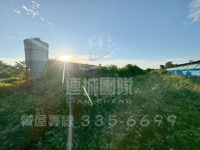 台南白河雞舍-12