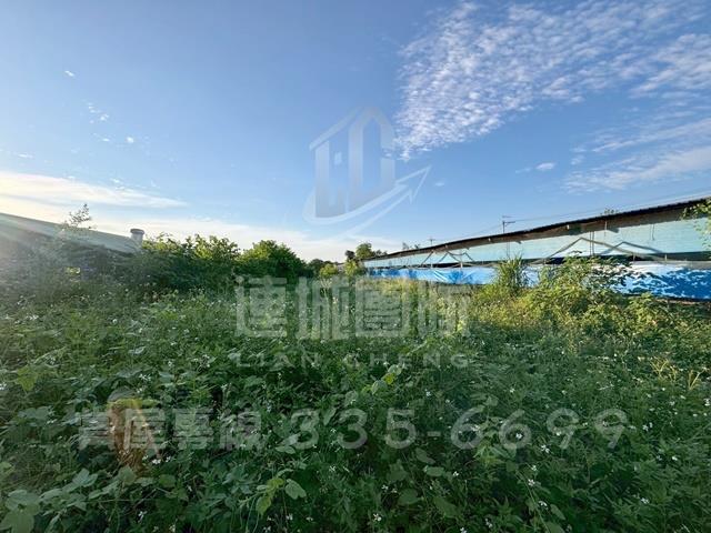 台南白河雞舍-3