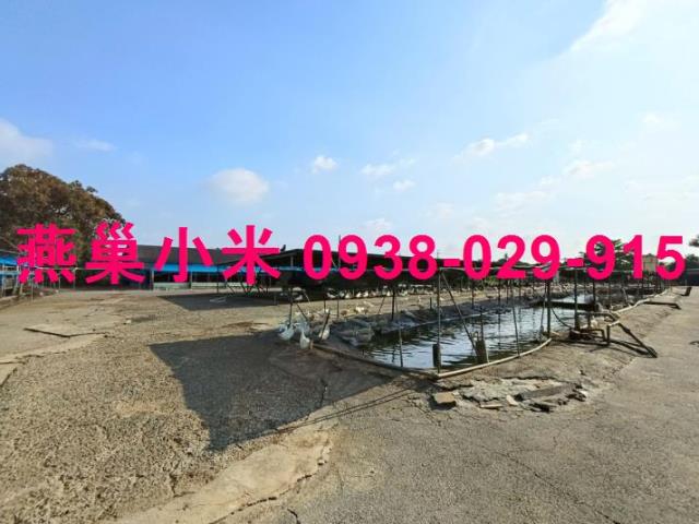 阿蓮畜牧場-1