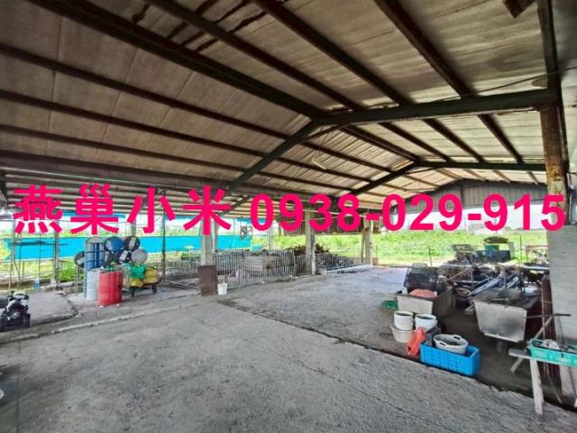 阿蓮畜牧場-1