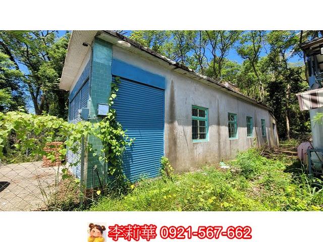 杉林農舍-4