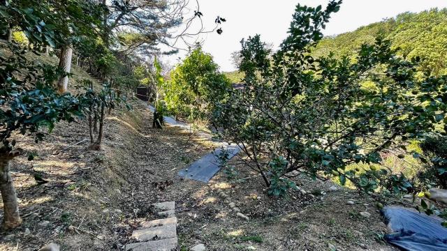 關西農舍-6