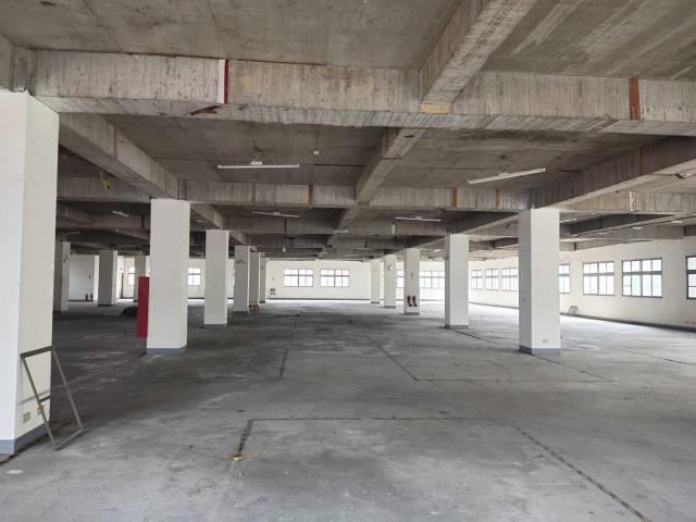 龜山廠房-2