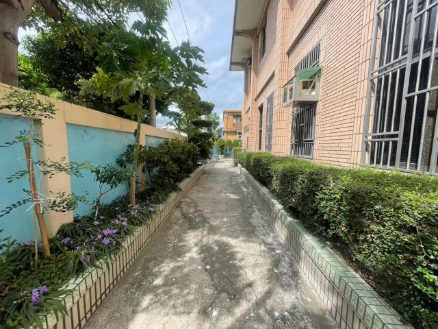 桃園大園廠房-3