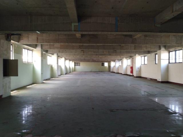 桃園大園廠房-3