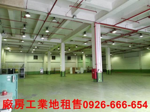 桃園大園廠房-1