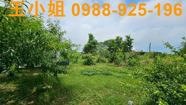 大園農舍-3