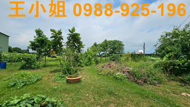 大園農舍-4