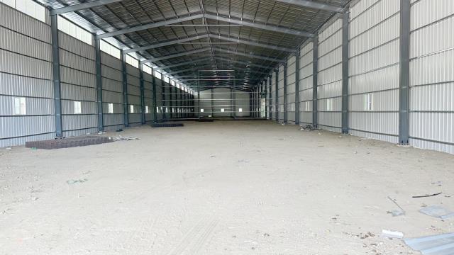 桃園大園廠房-3