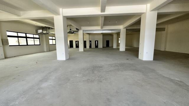 桃園中壢廠房-2