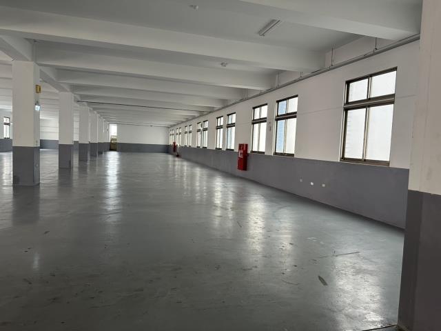 龜山廠房-1