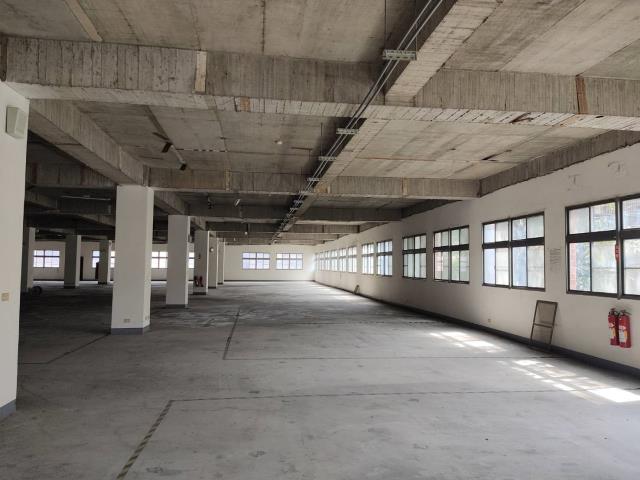 桃園廠房-1