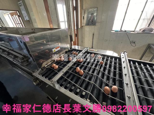 鹽水畜牧場-11