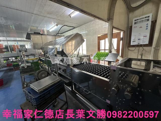 鹽水畜牧場-3